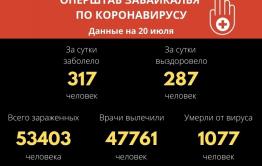 Число заболевших COVID-19 увеличилось на 317 человек за сутки в Забайкалье