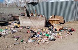 Бывший военный городок Ясная превращается в помойку