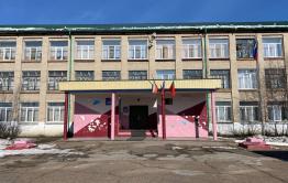 Стая собак напала на восьмиклассниц возле школы в Чите