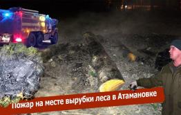 Вечорка ТВ: Пожар на месте вырубки леса в Атамановке
