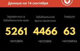 Еще 66 новых больных коронавирусом выявили за сутки в Забайкалье
