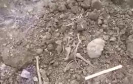 Останки древнего человека нашли на месте стройки в Сретенском районе