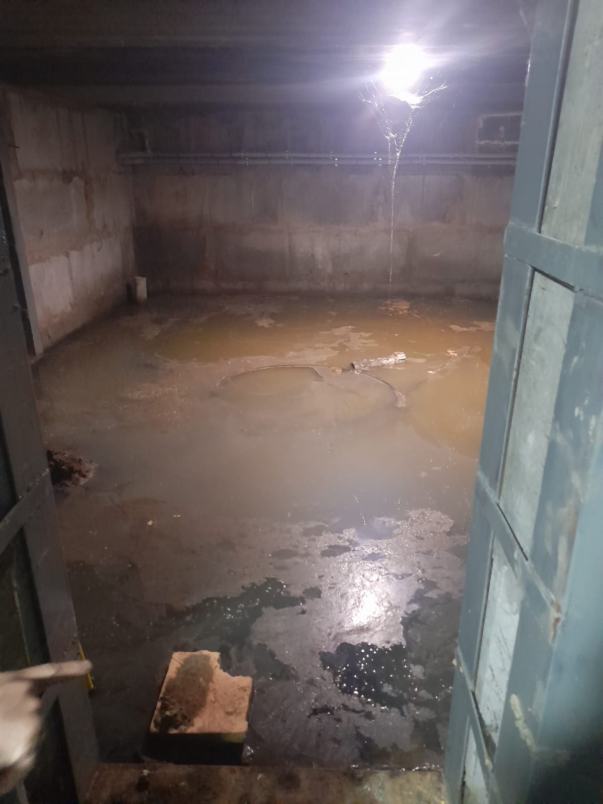 Дом с фекалиями