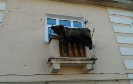 В Кокуе шкуру медведя сушат на балконе