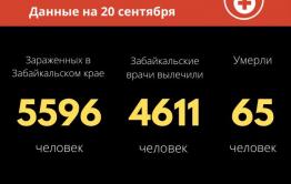 Больше пятидесяти забайкальцев заразились коронавирусом за сутки