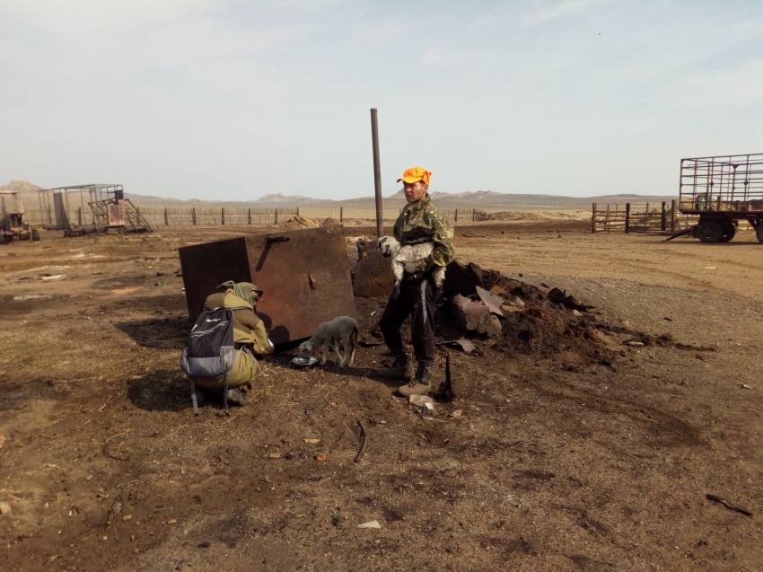 В Забайкалье владельцы хозяйств, пострадавших от пожаров, получат компенсацию