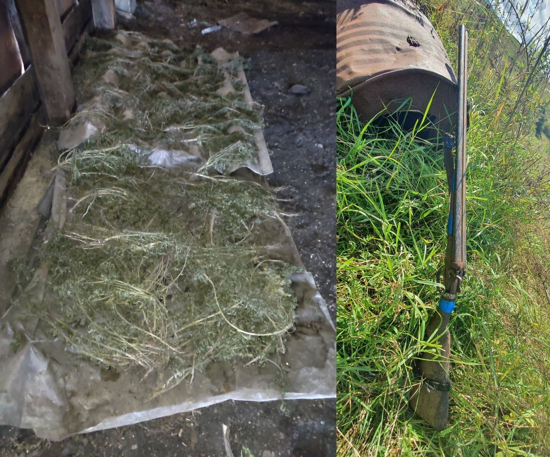 Оружие, наркотики и другое: Забайкальские пограничники рассказали, что они нашли во время рейдов