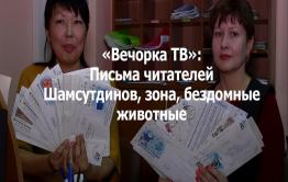 Вечорка ТВ: Письма читателей - Шамсутдинов, зона, бездомные животные