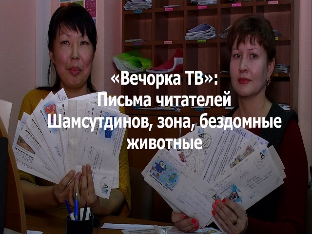 Вечорка ТВ: Письма читателей - Шамсутдинов, зона, бездомные животные