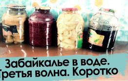 Наводнение-2021. Третья волна. Сюжет без слов.