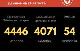 В Забайкалье от коронавируса скончалась 81-летняя женщина