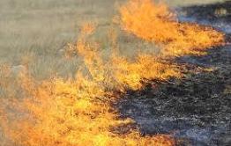В семи районах Забайкалья открыли пожароопасный сезон
