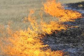 В семи районах Забайкалья открыли пожароопасный сезон