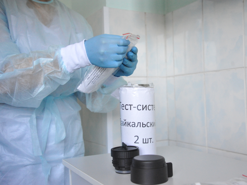 Коронавирус: В Забайкалье поступила тест-система для определения антигена новой заразы