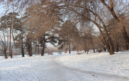 «Вечорка» проголосовала за создание парка в Сосновом Бору
