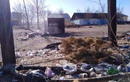 После материала «Вечорки» о мусоре борзинские коммунальщики попросили жителей жаловаться напрямую