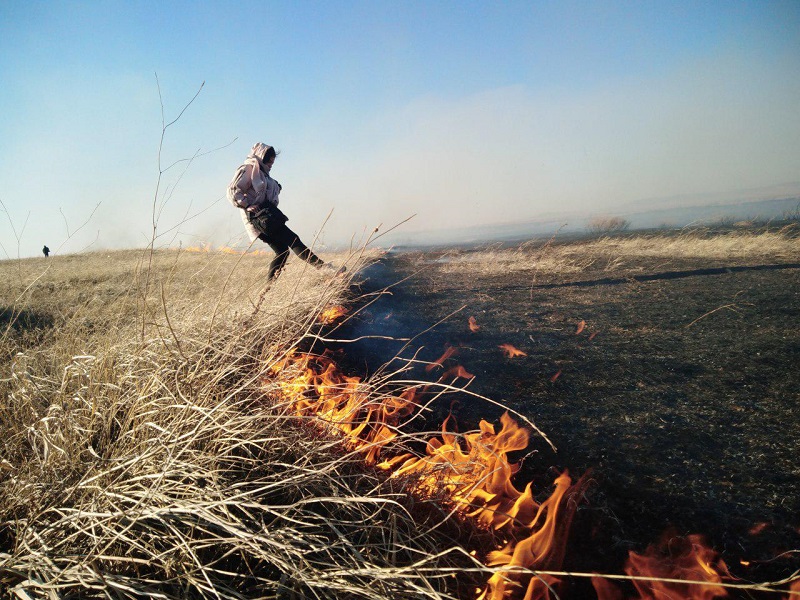 ​Жители Ковылей поблагодарили двух местных парней, делавших опашку во время пожаров