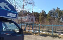 В окрестностях курорта Кука бродят два медведя