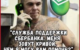 Путин подписал закон о блокировке сотовой связи в российских колониях