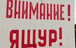​Жителям села Кайластуй возместили ущерб за изъятие заболевших ящуром животных