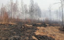 Из-за бездействия людей, лесной пожар в одном из районов Забайкалья разросся в 380 раз 