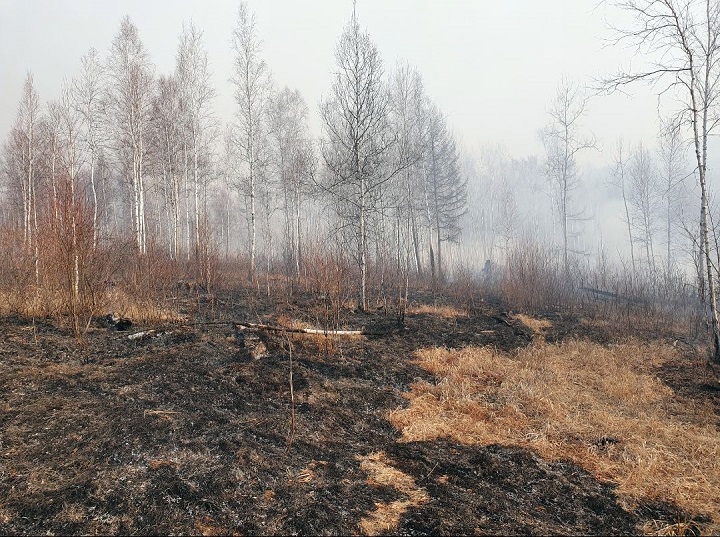 Из-за бездействия людей, лесной пожар в одном из районов Забайкалья разросся в 380 раз 