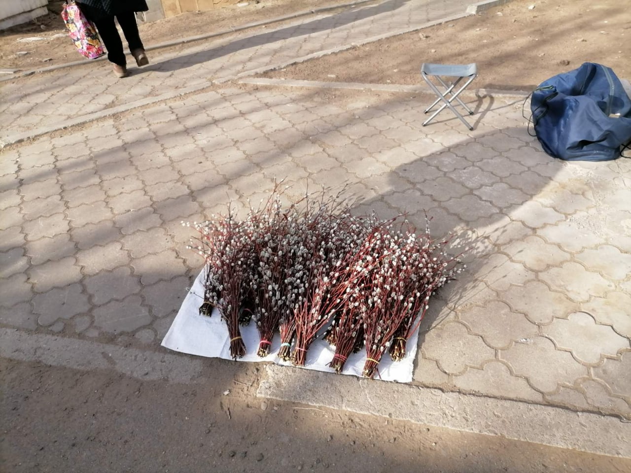 Символ весны в Чите: в городе массово торгуют вербой
