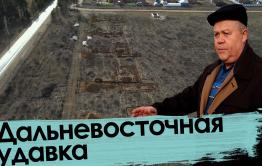 Дальневосточная удавка: Лес вырубят, гектары продадут, Путин не узнает.