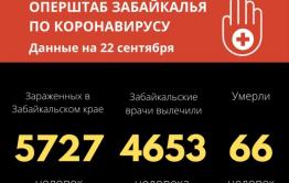 В Забайкалье зарегистрировали еще один летальный случай от COVID-19 