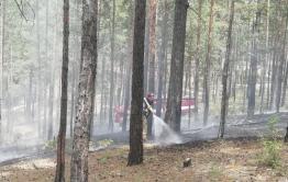 Жители Атамановки отстояли свой поселок и лес от пожара