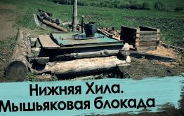Нижняя Хила: здесь травят мышьяком 