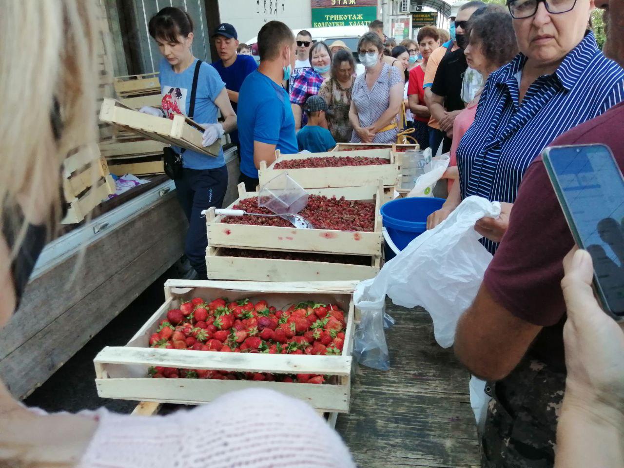 Сезон ягод начался в Забайкалье — читинцы выстраиваются в очереди