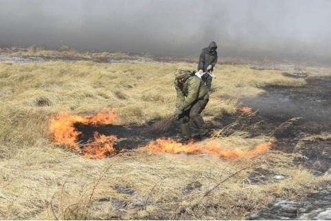 Правительство Забайкалья рассказало, когда в крае будет введен пожароопасный сезон 