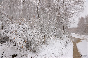 За Байкалом на выходных ожидается первый снег
