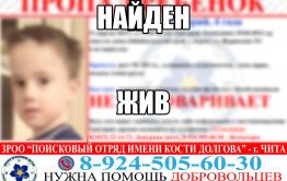 Пропавшего в Борзе четырехлетнего мальчика нашли