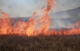 Противопожарный режим ЧС начал действовать в Забайкалье
