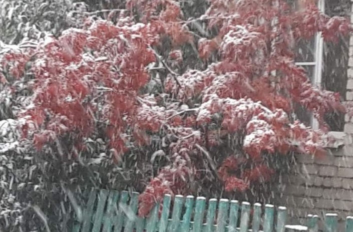 В Забайкалье выпал первый снег