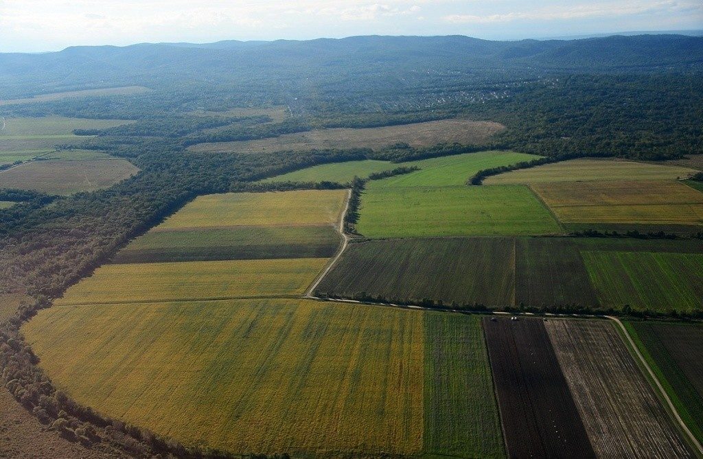 В Минвостокразвития хотят изменить закон о «дальневосточном гектаре»