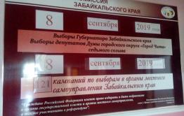Бюллетени на выборах губернатора Забайкалья будут багулового цвета