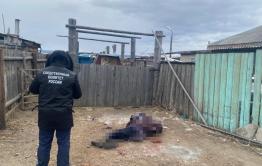 Хозяин псов, которые насмерть загрызли пенсионерку в Улетовском районе, признал вину