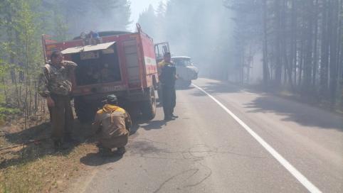 Лесной пожар тушат в районе Молоковки 