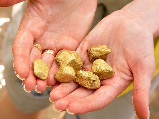 Забайкалец незаконно добывал золото на лесном участке