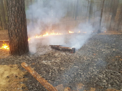 Подростки устроили лесной пожар возле забайкальского села. Видео.