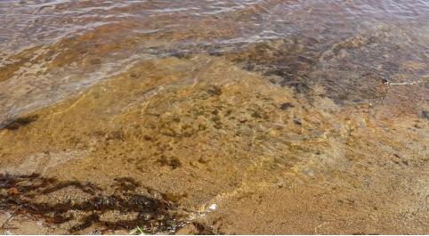 Подъем уровня воды продолжится на реках Забайкалья