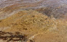 Подъем уровня воды продолжится на реках Забайкалья