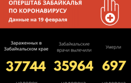 Новых случаев заражения коронавирусом в Забайкалье становится меньше