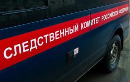 Глава СК Бастрыкин поручил возбудить уголовное дело по факту смерти ребенка в больнице Забайкалья