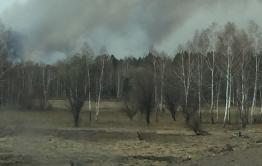 Лес вспыхнул из-за брошенного окурка в Забайкалье 