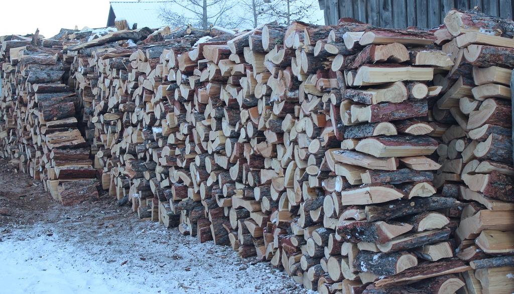 Заксобрание отклонило законопроект Минприроды о снижении нормы заготовки дров