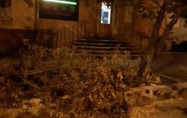 Неизвестные вырубили клены у новой алкоточки на Бабушкина в Чите
